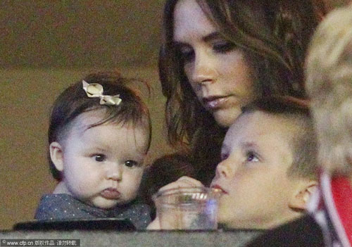 �p���R�k���p�C��������L���������ܦ�����C�n���G�Ϥ���CFP��ı����ѥ����M�Z�A��������B���Z�B�q���x���gCFP��ı����\�i�A���o�����Υ�������A�H�̥��s�I��