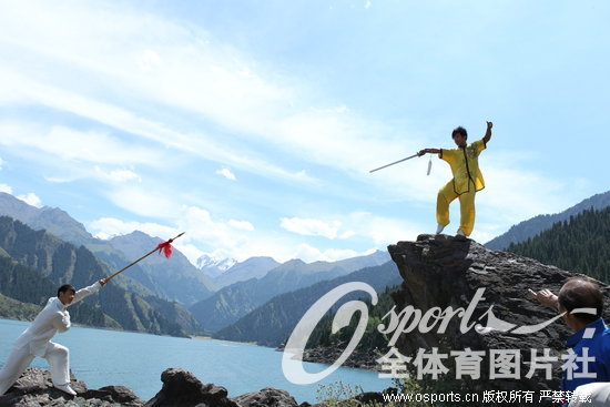 ��������չʾ�书