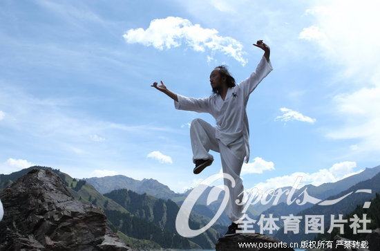 ��������չʾ�书