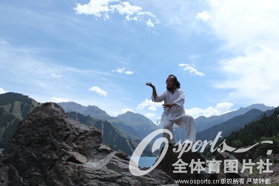 ��������չʾ�书