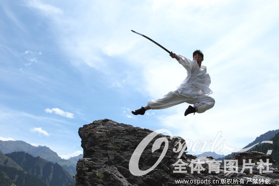 ��������չʾ�书