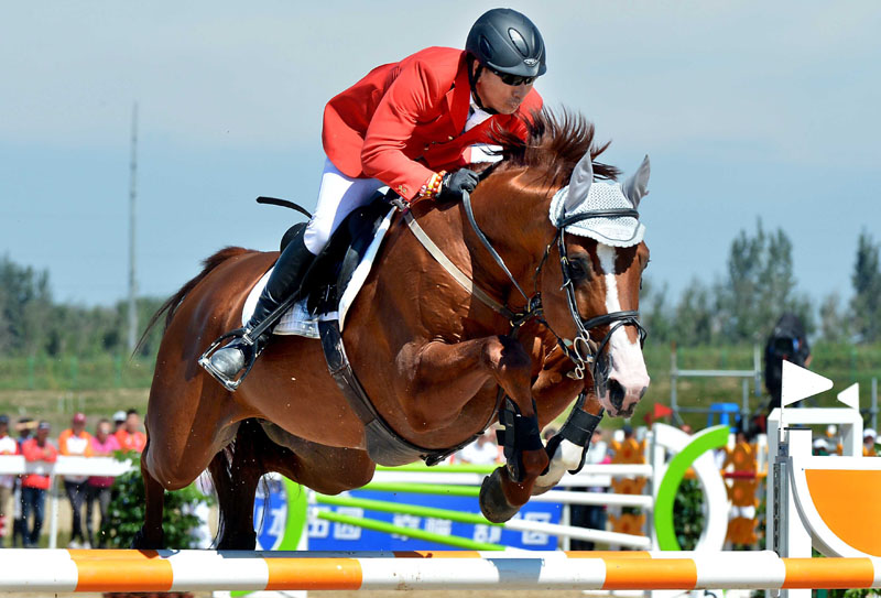 ˧��������ʮ����ȫ�˻�������Ŀ���������ռ����������˶����Ŀ��������ɹŶ�ѡ����ͬ�̼�Ԧ�������Ⲽ�롱�ڳ����ϰ��������С��»������������