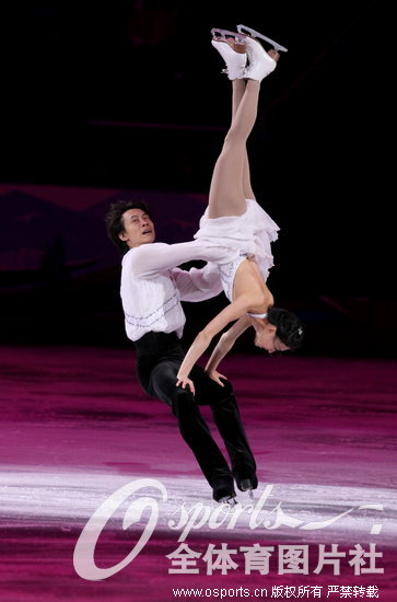 2010���¸绪���»Ứ����������ѩ/�Ժ격�������������л����������ۼ��