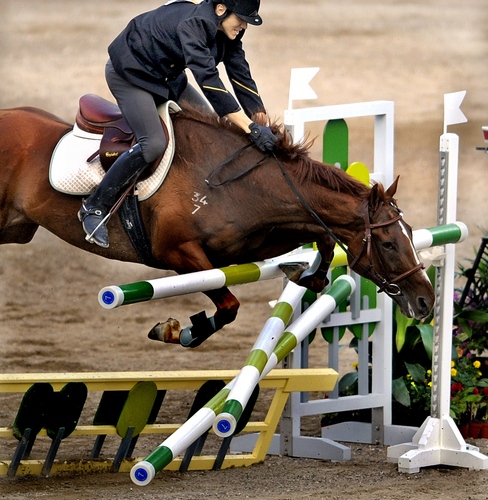 ����ʧǰ�㡱����2007��9��15�գ��ڱ����������ľ��еġ����˱�����2007�ִ��������籭�ܾ����У�����ѡ�ּ�������ʧ���»�����߳���ΰ��