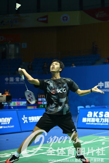 �����»���