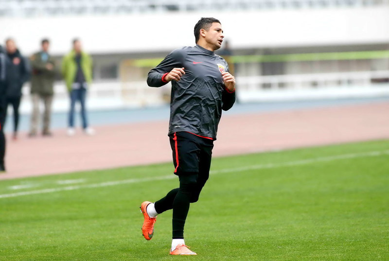 ������ɭ