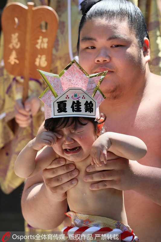 ���壺�ձ���"������"������ �������ֻΪ�����ɳ���4��