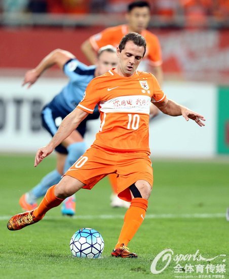 �ɵ��Է�������