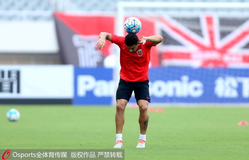 ������ɭ���ݺ�����ͣ��