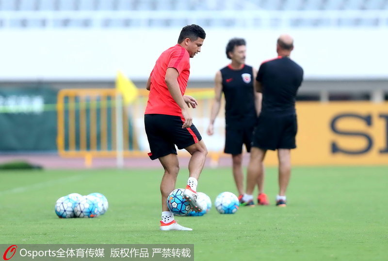 ������ɭѵ����