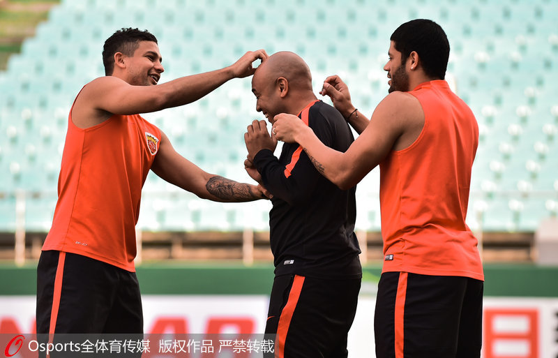 ������ɭ�����������������