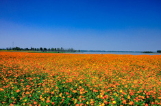 固城湖水慢城