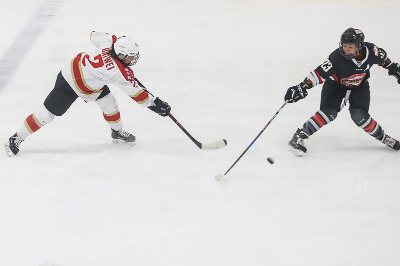 CWHL-ʤй± 6-4غǡ2