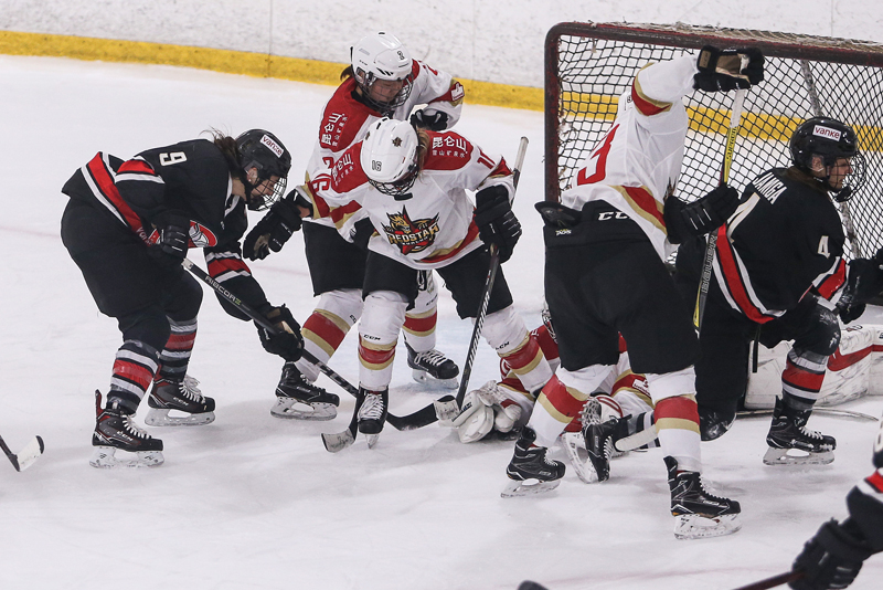 CWHL-ʤй± 6-4غǡ5