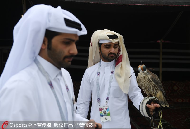 卡塔爾工作人員托舉著一隻鳥