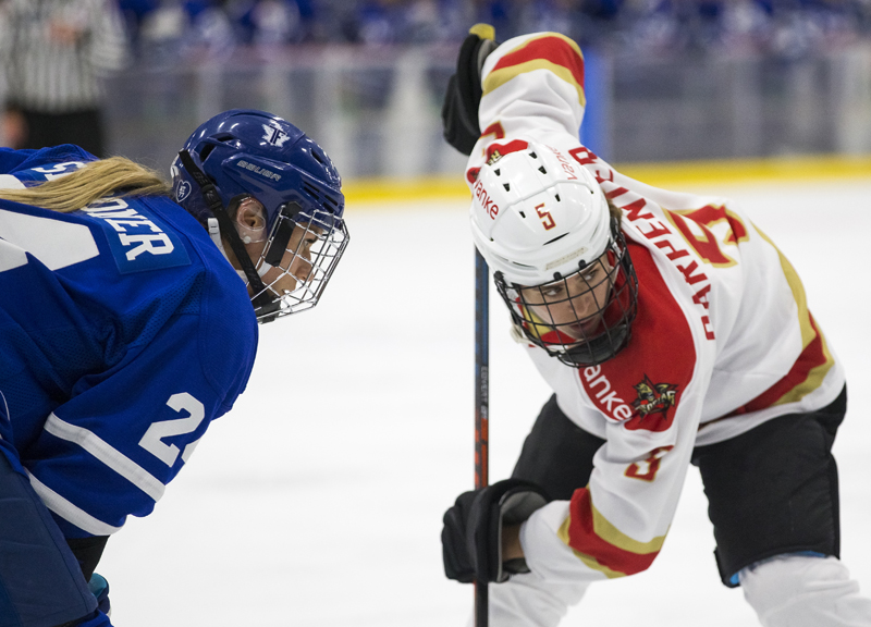 CWHL1-3׶ ܼӥ׷ջʵս顾4