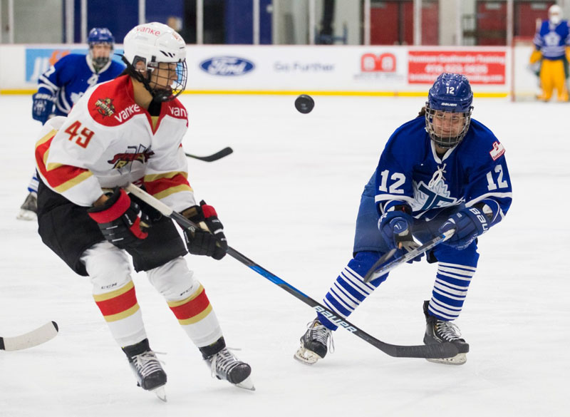 CWHL1-3׶ ܼӥ׷ջʵս