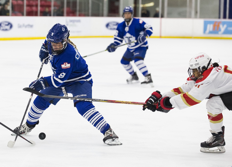 CWHL1-3׶ ܼӥ׷ջʵս顾3