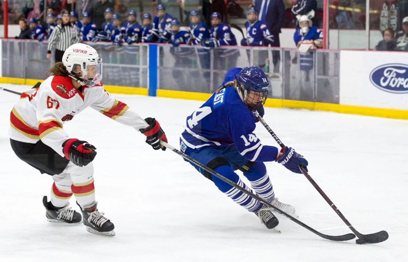 CWHL1-3׶ ܼӥ׷ջʵս顾2