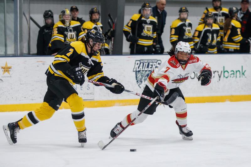 CWHL-ý ⵶2019սź