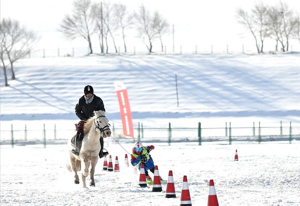 別具特色的馬術滑雪比賽