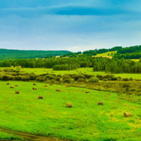 內蒙古旅游:呼倫貝爾大草原                            呼倫貝爾大草原一般指位於呼倫貝爾市西部的呼倫貝爾草原，是世界著名的天然牧場，是世界四大草原之一，被稱為世上最好的草原。