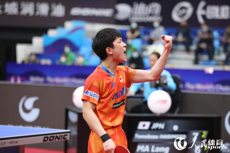 �ű��Ǻ���ף�÷֣������� �������㣩